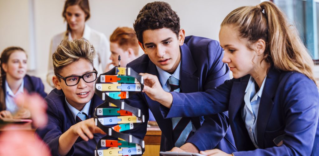 Creating universal learning experiences for different types of learners